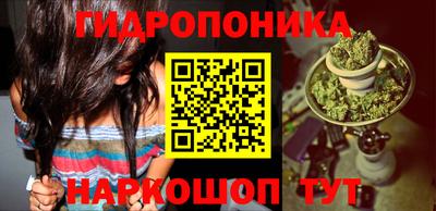 стафф Будённовск